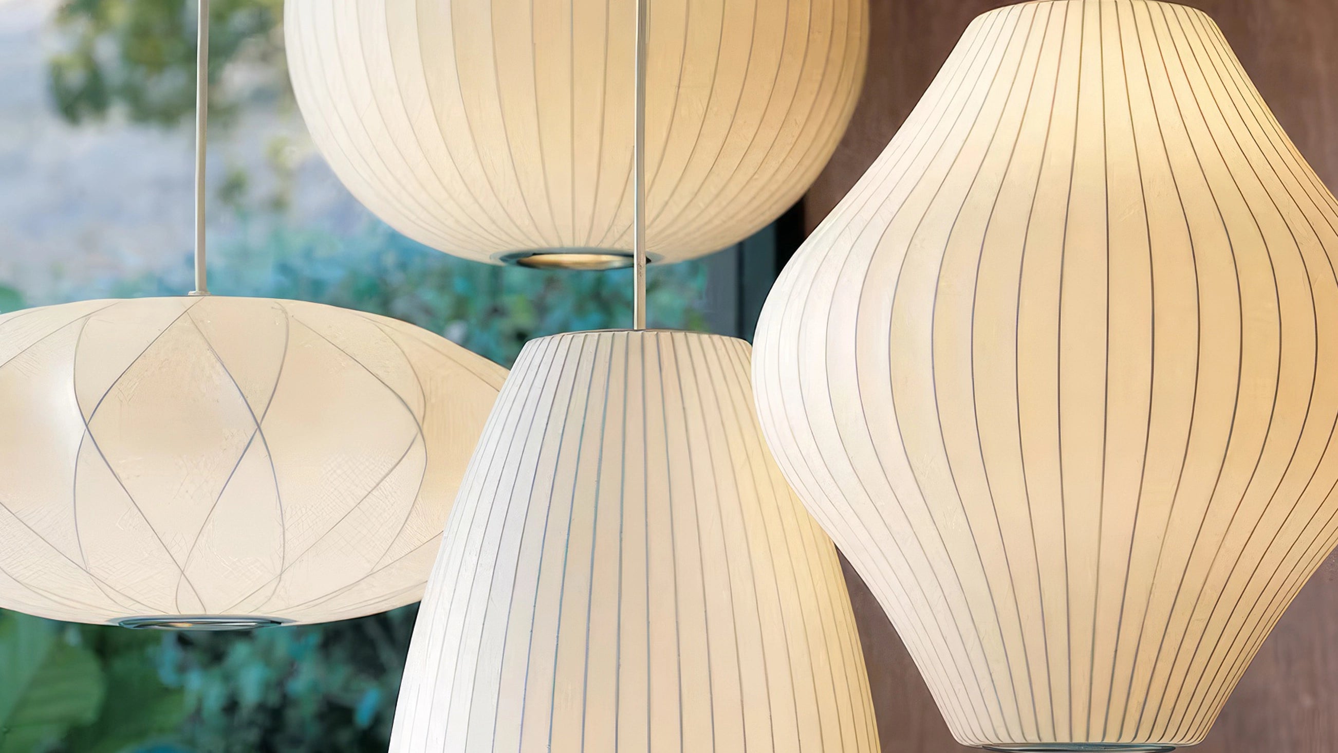 polylight-bold-contrast-1